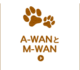 A-wan